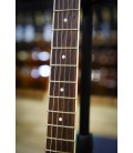 Gitara elektryczna Greco BGWT22