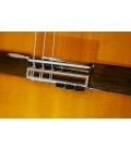 Asturias gitara klasyczna