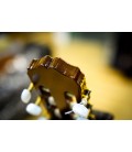 Asturias gitara klasyczna AST50
