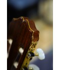 Asturias gitara klasyczna AST60