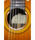 Gitara klasyczna Matsuoka M40