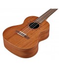 Baton Rouge V2-T6 Sun - ukulele tenorowe