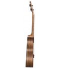 Ukulele koncertowe Baton Rouge UV91-C-NP