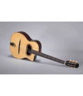 Altamira M01D + jazz case - gitara
