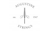 Augustine 